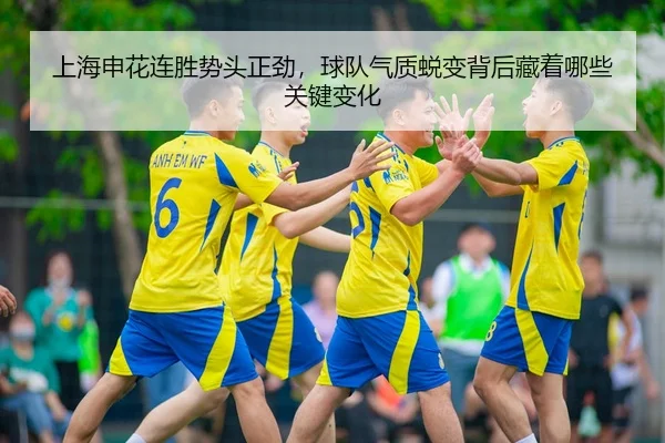 上海申花连胜势头正劲，球队气质蜕变背后藏着哪些关键变化