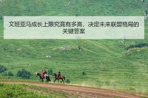 文班亚马成长上限究竟有多高，决定未来联盟格局的关键答案